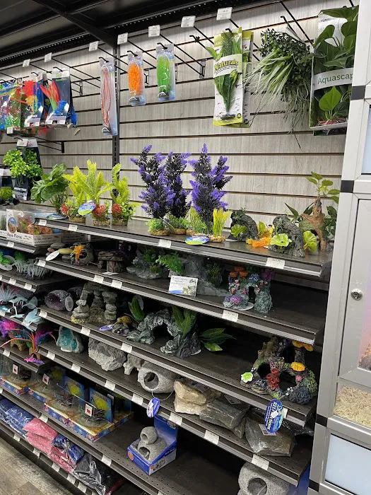 Pet Supermarket Picture 8