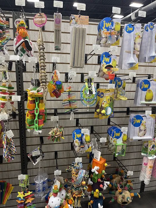 Pet Supermarket Picture 10