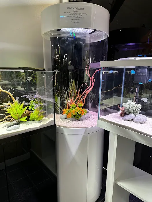 Natural Environment Aquatix Picture 2