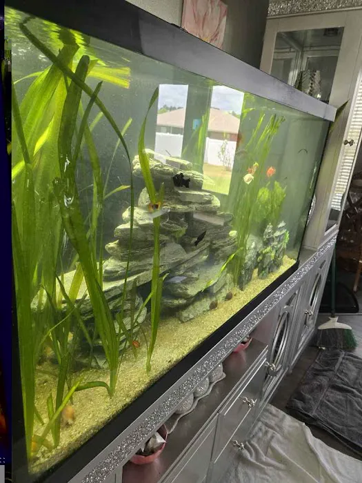 Natural Environment Aquatix Picture 5