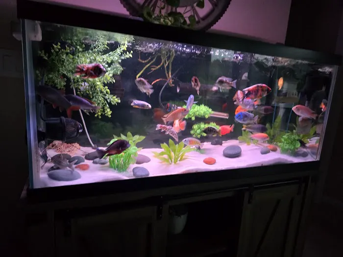 Natural Environment Aquatix Picture 3