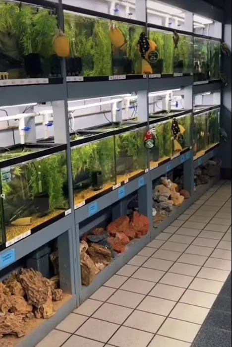 Natural Environment Aquatix Picture 7