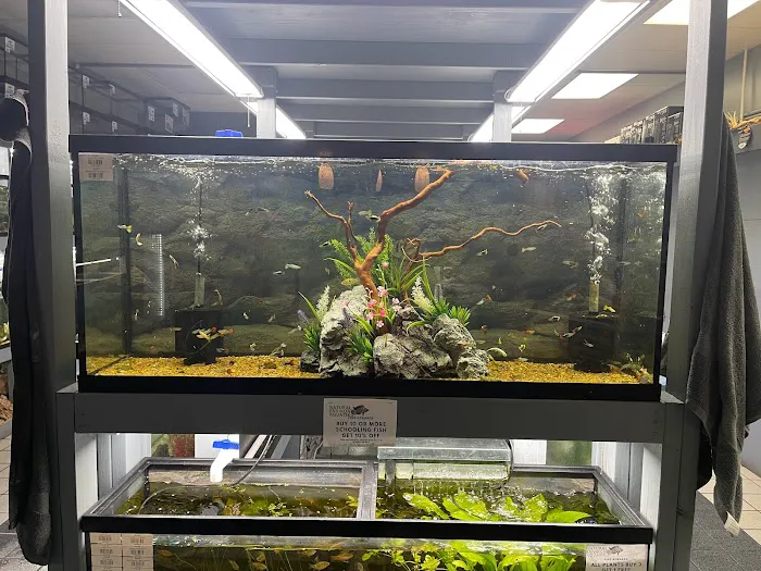 Natural Environment Aquatix Picture 1