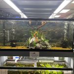 Natural Environment Aquatix