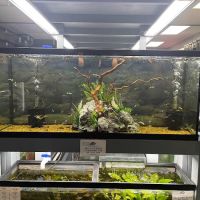 Natural Environment Aquatix ico