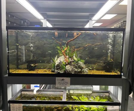 Natural Environment Aquatix