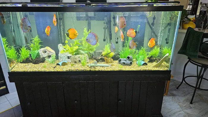 Natural Environment Aquatix Picture 10