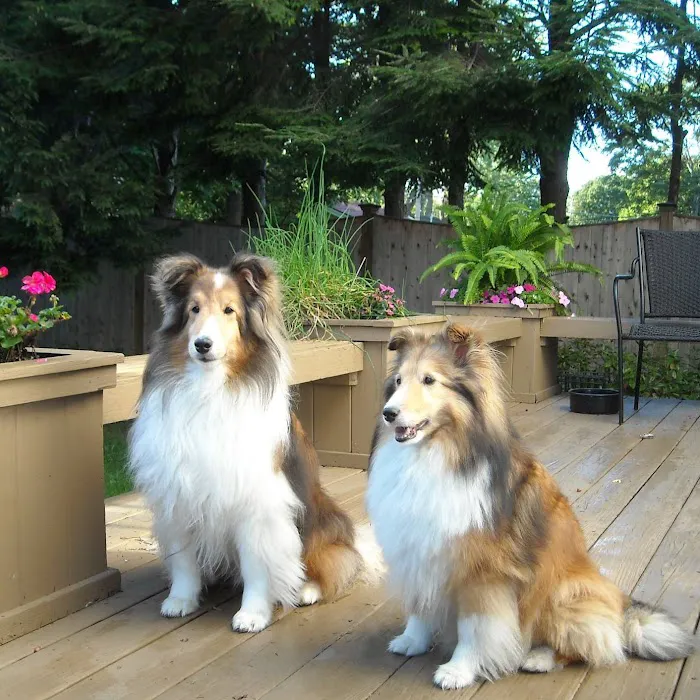 Berkshire Veterinary Hospital Picture 6