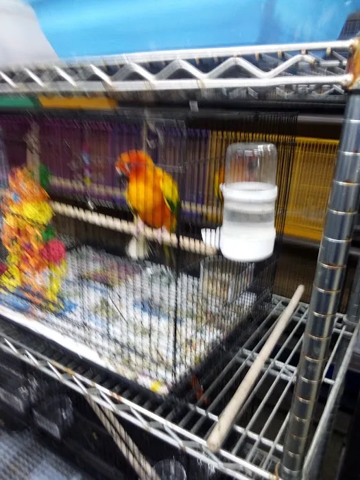 Eg Exotic Pets & More LLC Picture 9