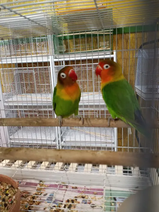Eg Exotic Pets & More LLC Picture 2