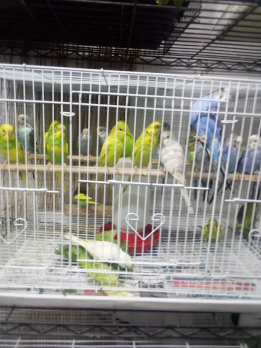Eg Exotic Pets & More LLC Picture 3