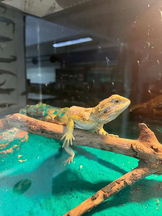 Eg Exotic Pets & More LLC Picture 8