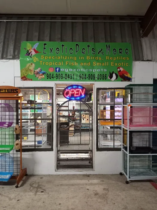 Eg Exotic Pets & More LLC Picture 10