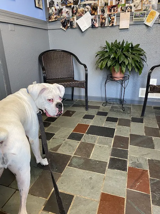 Wahconah Vet Services Picture 9