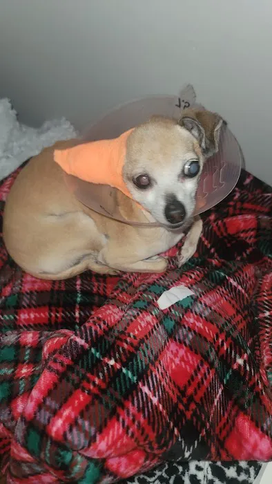 PetSmart Veterinary Services - Norwalk Picture 6