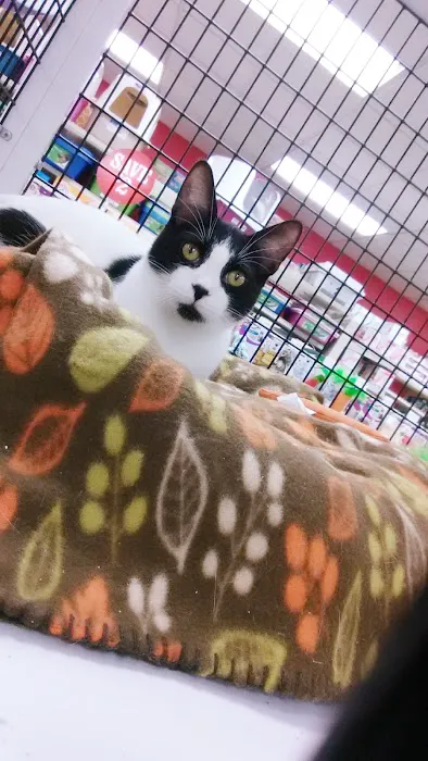 Pet Supermarket Picture 10
