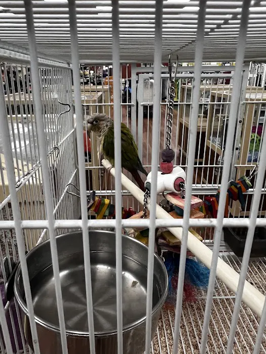 Pet Supermarket Picture 4