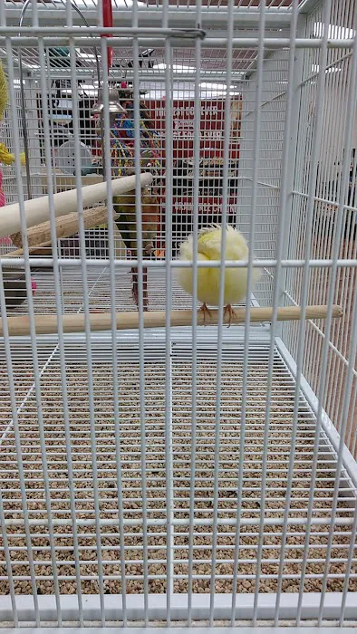 Pet Supermarket Picture 8