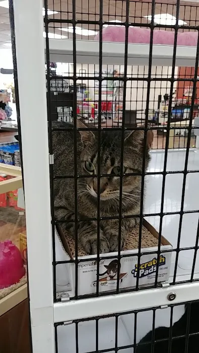 Pet Supermarket Picture 3