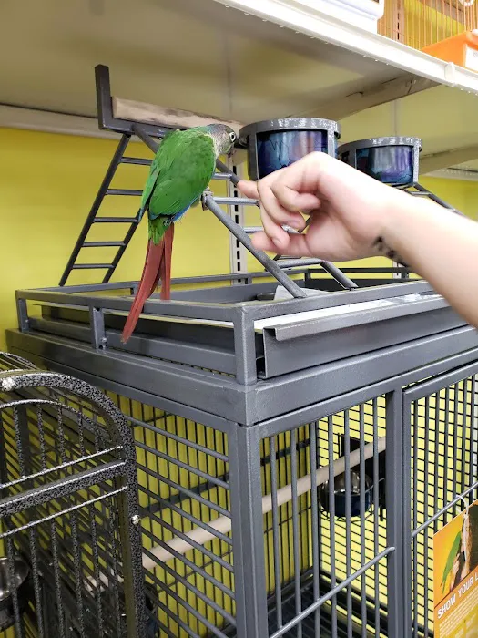 Pet Supermarket Picture 1