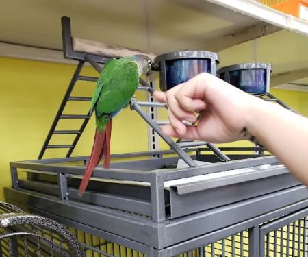 Pet Supermarket