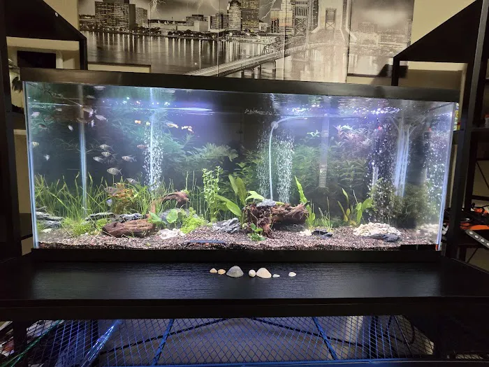 Petco Picture 8