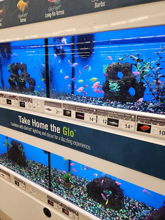 Petco Picture 10