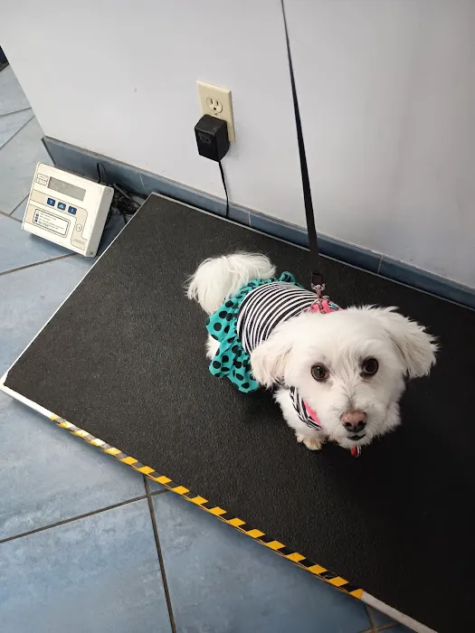 Reid Veterinary Center Picture 10