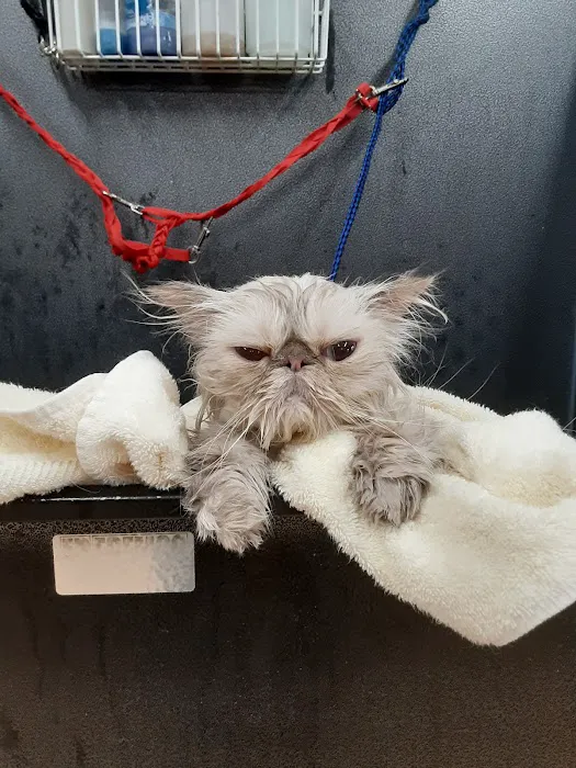 Reid Veterinary Center Picture 8