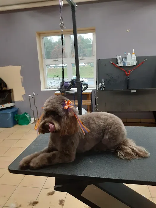 Reid Veterinary Center Picture 4