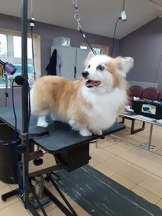 Reid Veterinary Center Picture 7