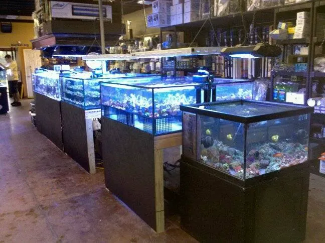 Bio-Reef LLC Picture 6