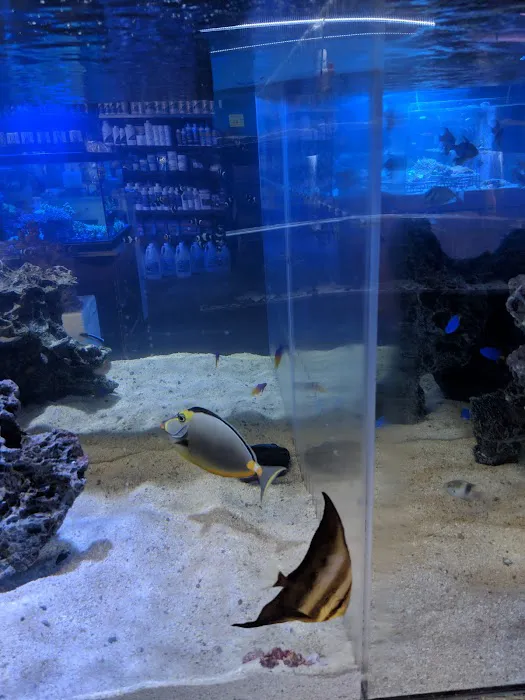 Bio-Reef LLC Picture 1