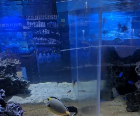Bio-Reef LLC