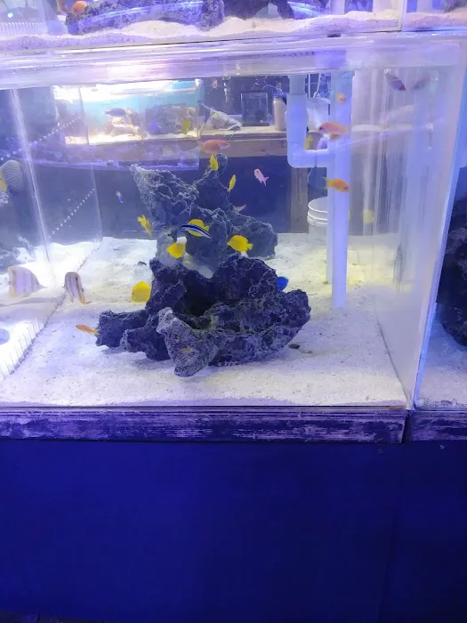 Bio-Reef LLC Picture 5