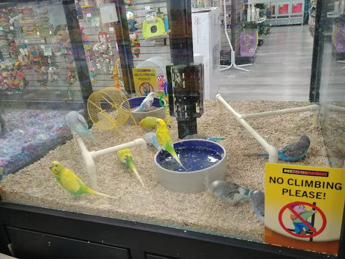 Pet Supermarket Picture 1