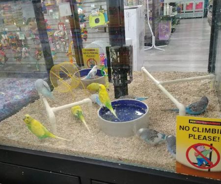 Pet Supermarket