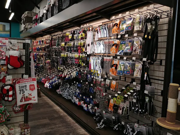 Pet Supermarket Picture 6