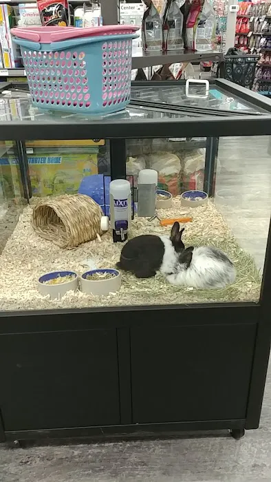 Pet Supermarket Picture 5