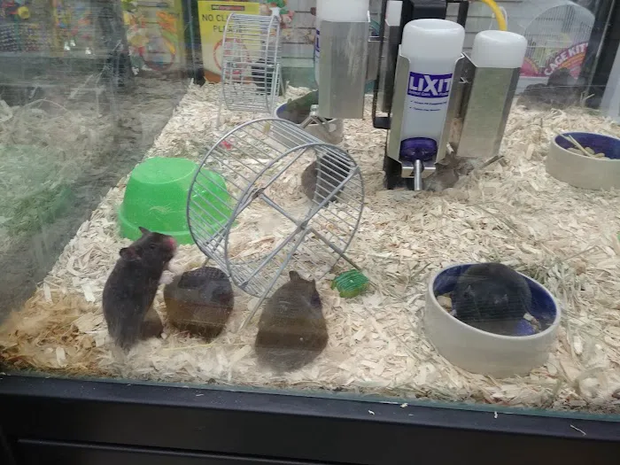 Pet Supermarket Picture 4