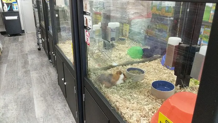 Pet Supermarket Picture 8