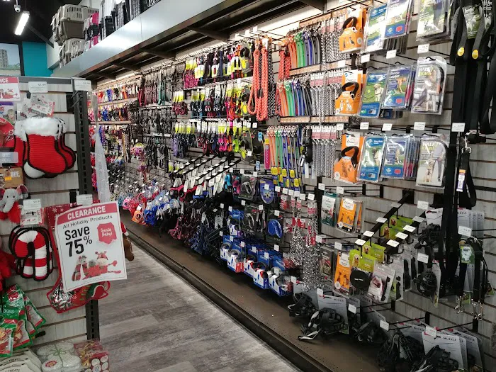 Pet Supermarket Picture 7