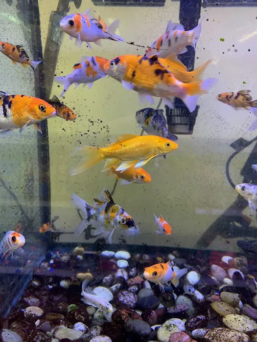 Pet and Feed Store Picture 9