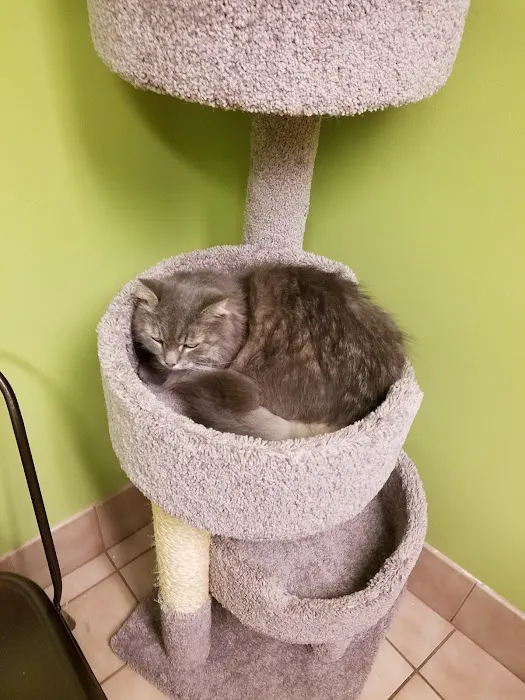 Trumbull Animal Hospital Picture 2
