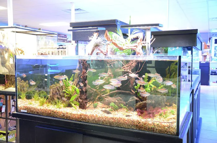 Aquatic City Aquariums Picture 5