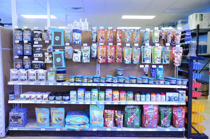 Aquatic City Aquariums Picture 6