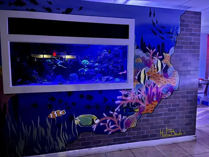 Aquatic City Aquariums Picture 7