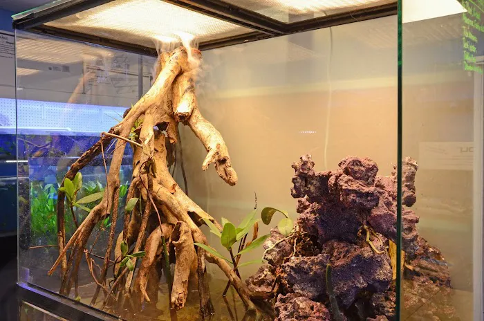 Aquatic City Aquariums Picture 9