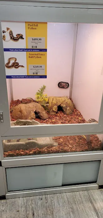 Pet Supermarket Picture 1