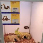 Pet Supermarket